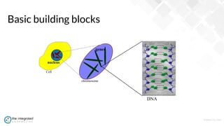 WWW.TIC.OM
Basic building blocks
DNA
Cell
nucleus
chromosome
genes
 