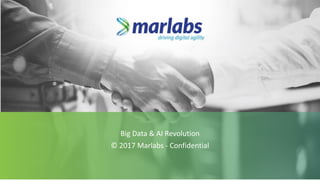 Big Data & AI Revolution
© 2017 Marlabs - Confidential
 