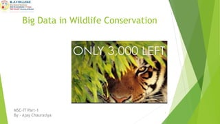 Big Data in Wildlife Conservation
MSC-IT Part-1
By - Ajay Chaurasiya
1
 