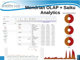    
Mondrian OLAP + Saiku
Analytics
 