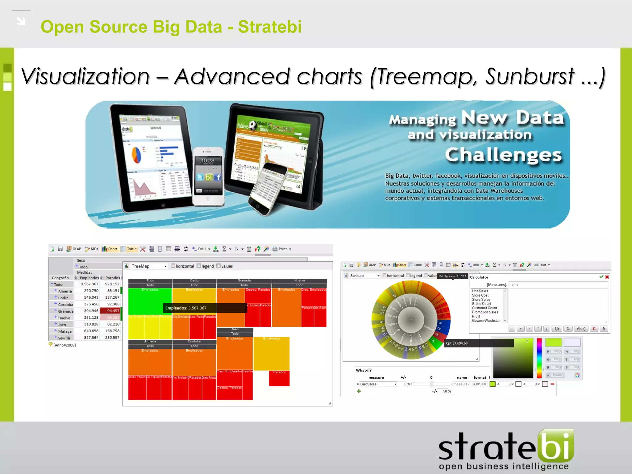 Open Source Big Data - Stratebi
Visualization – Advanced charts (Treemap, Sunburst ...)Visualization – Advanced charts (Treemap, Sunburst ...)
 