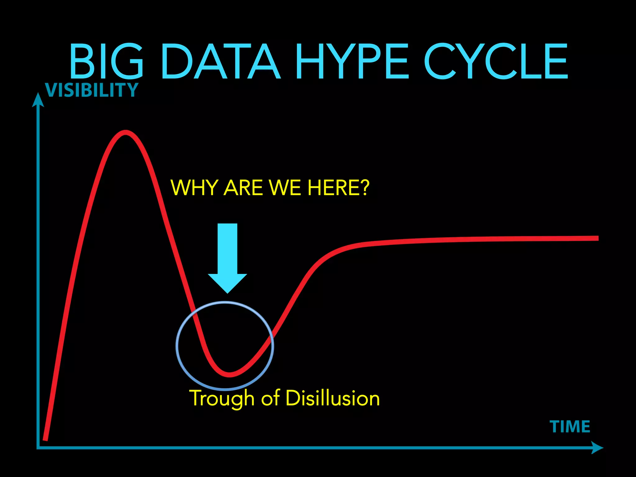 BIG DATA HYPE CYCLE
WHY ARE WE HERE?
Trough of Disillusion
 