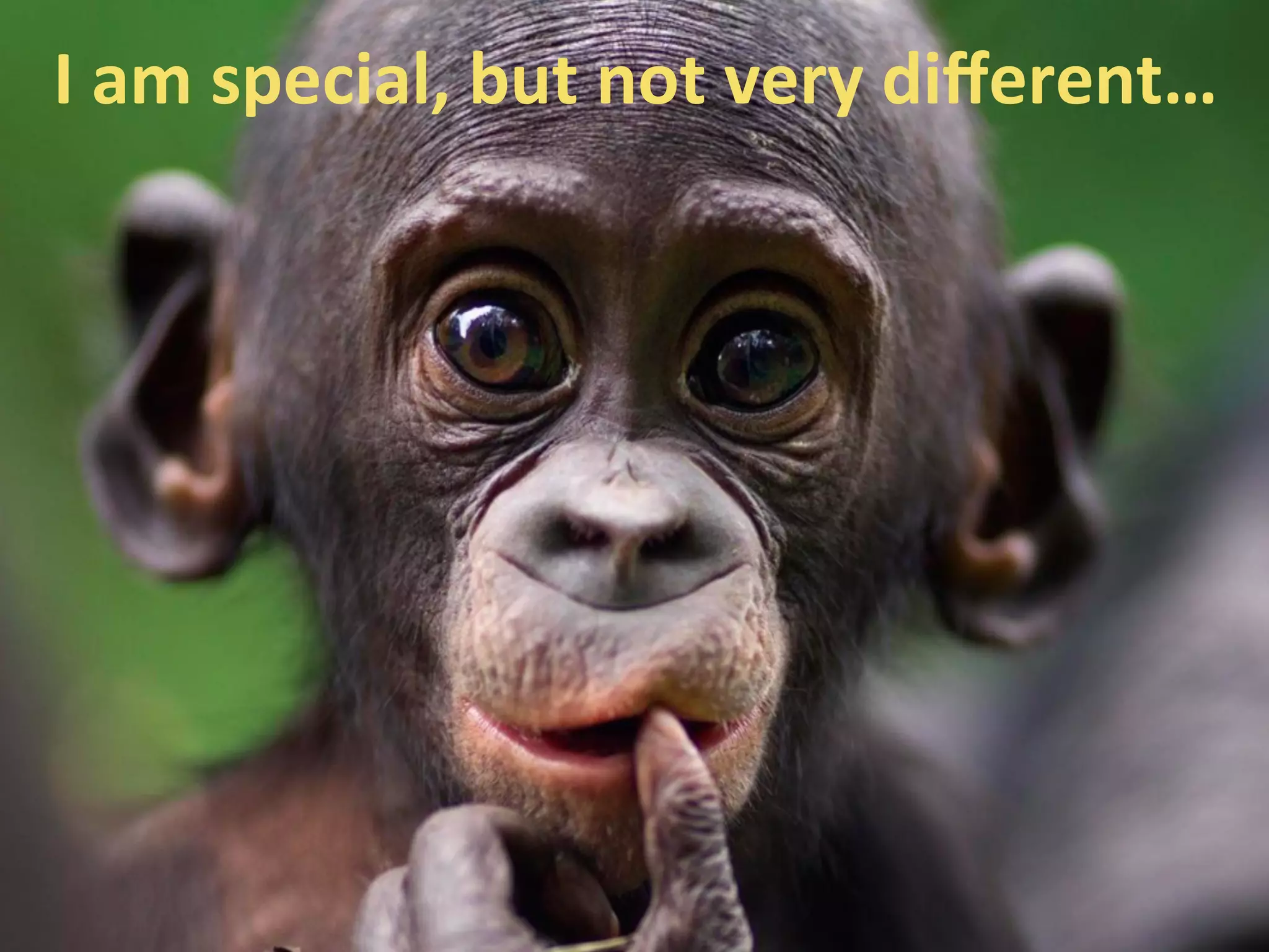 I	
  am	
  special,	
  but	
  not	
  very	
  diﬀerent…	
  	
  
 