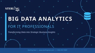 Big Data Analytics Training for IT Professionals: Tools, Techniques ...