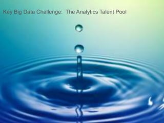 Key Big Data Challenge: The Analytics Talent Pool

12

 