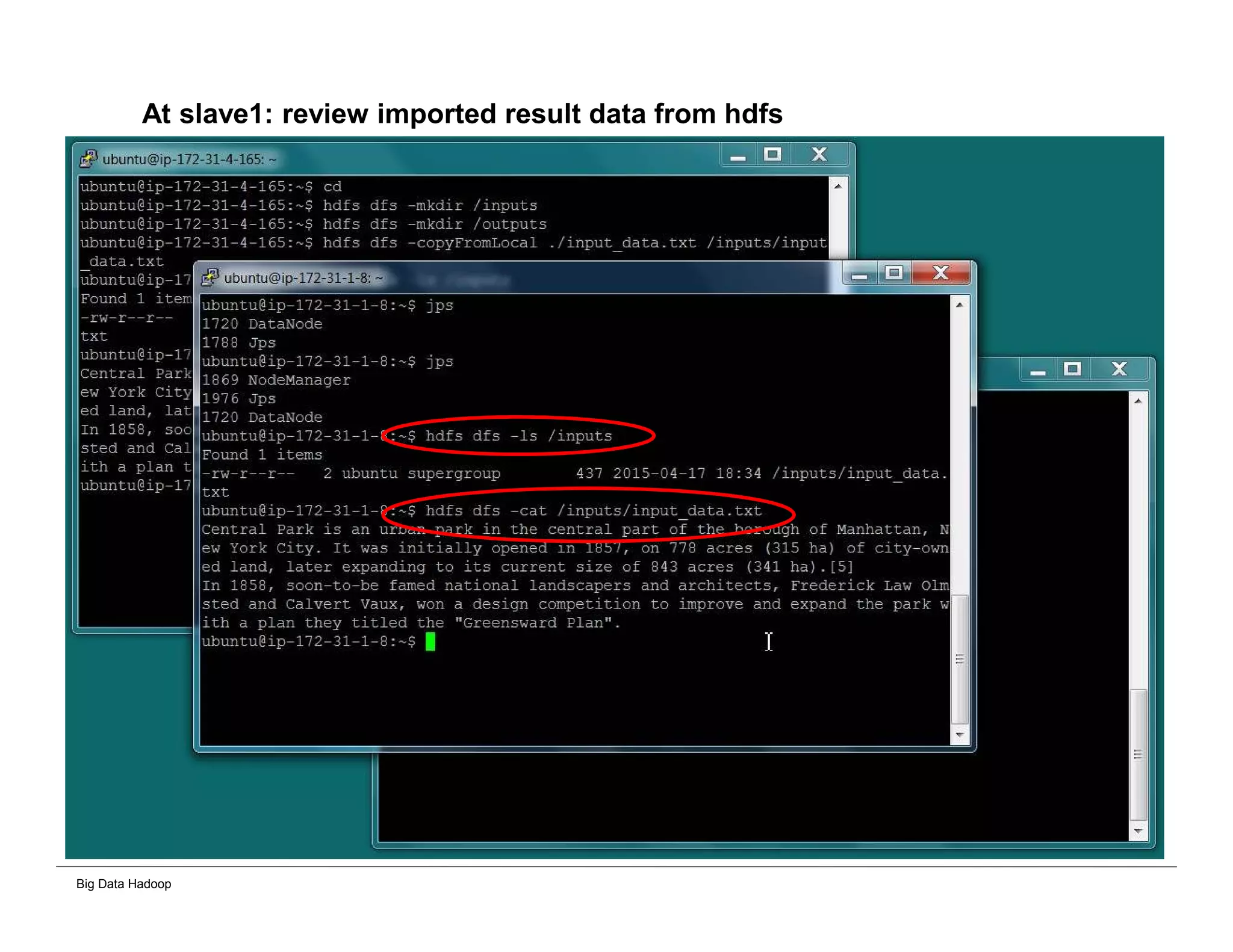 Big Data Hadoop
At slave1: review imported result data from hdfs
 