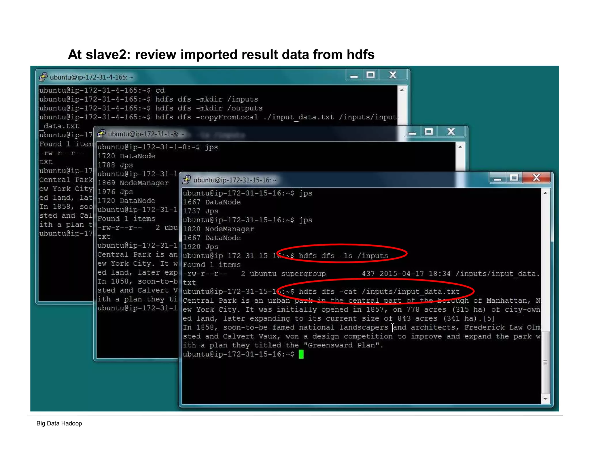 Big Data Hadoop
At slave2: review imported result data from hdfs
 