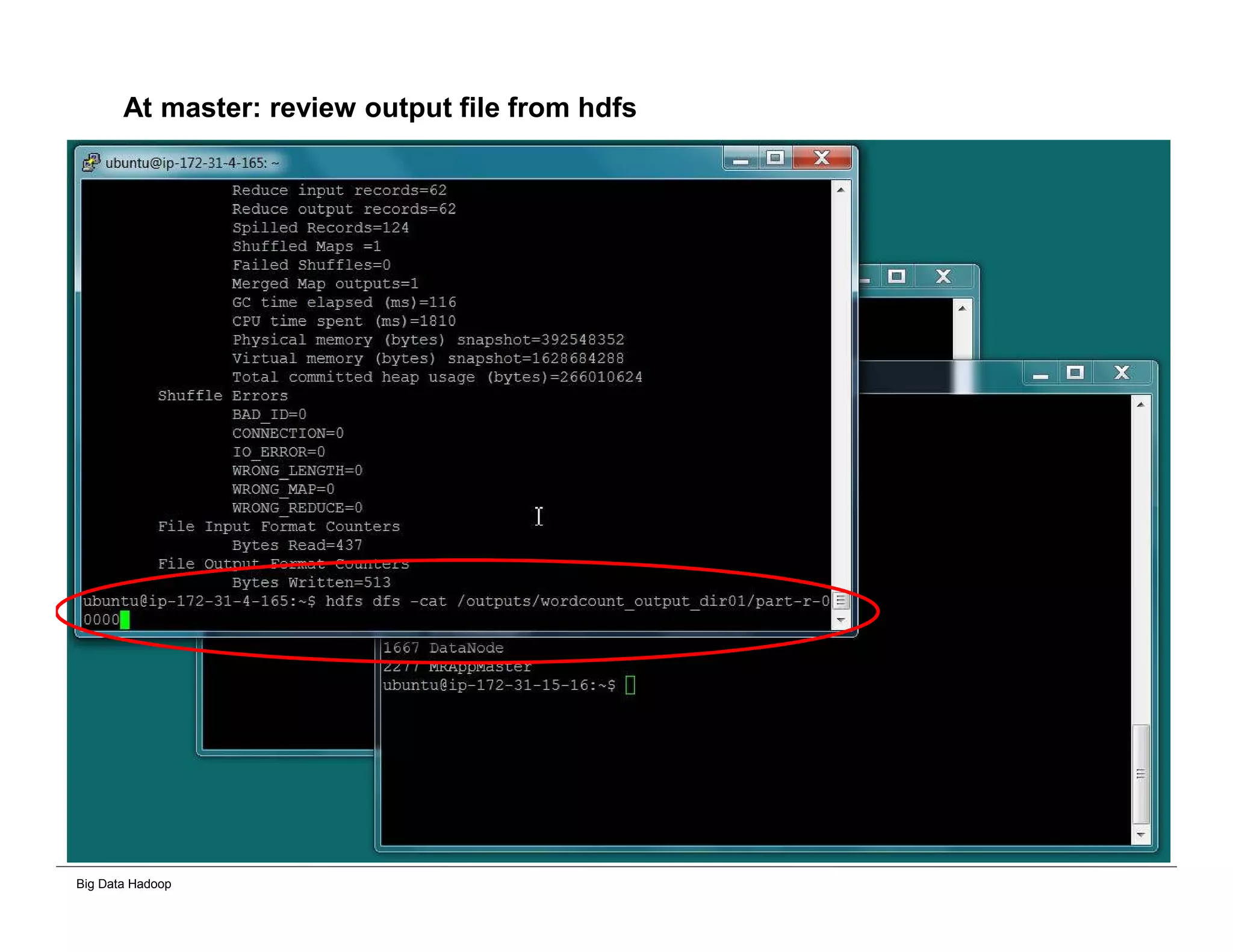 Big Data Hadoop
At master: review output file from hdfs
 