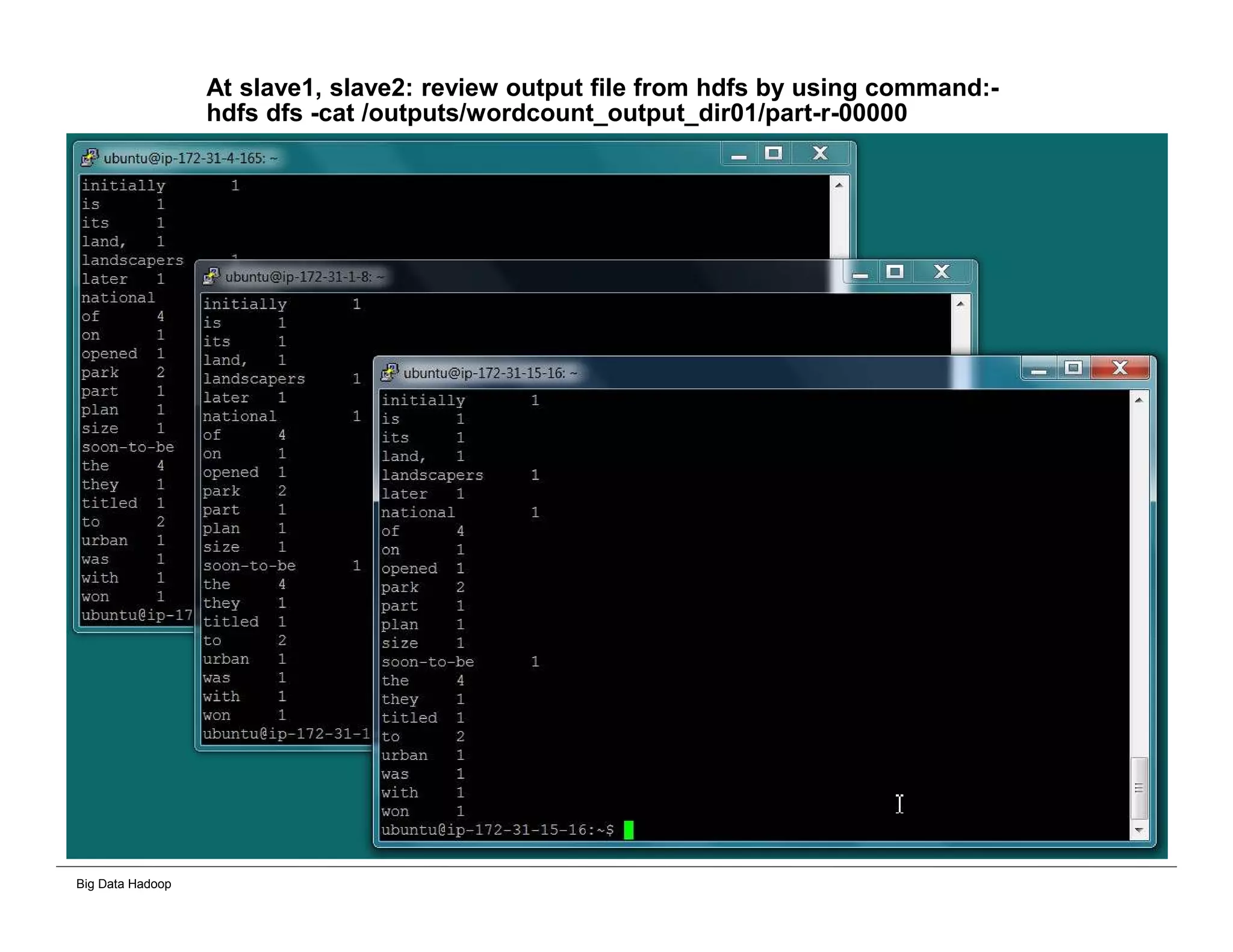 Big Data Hadoop
At slave1, slave2: review output file from hdfs by using command:-
hdfs dfs -cat /outputs/wordcount_output_dir01/part-r-00000
 
