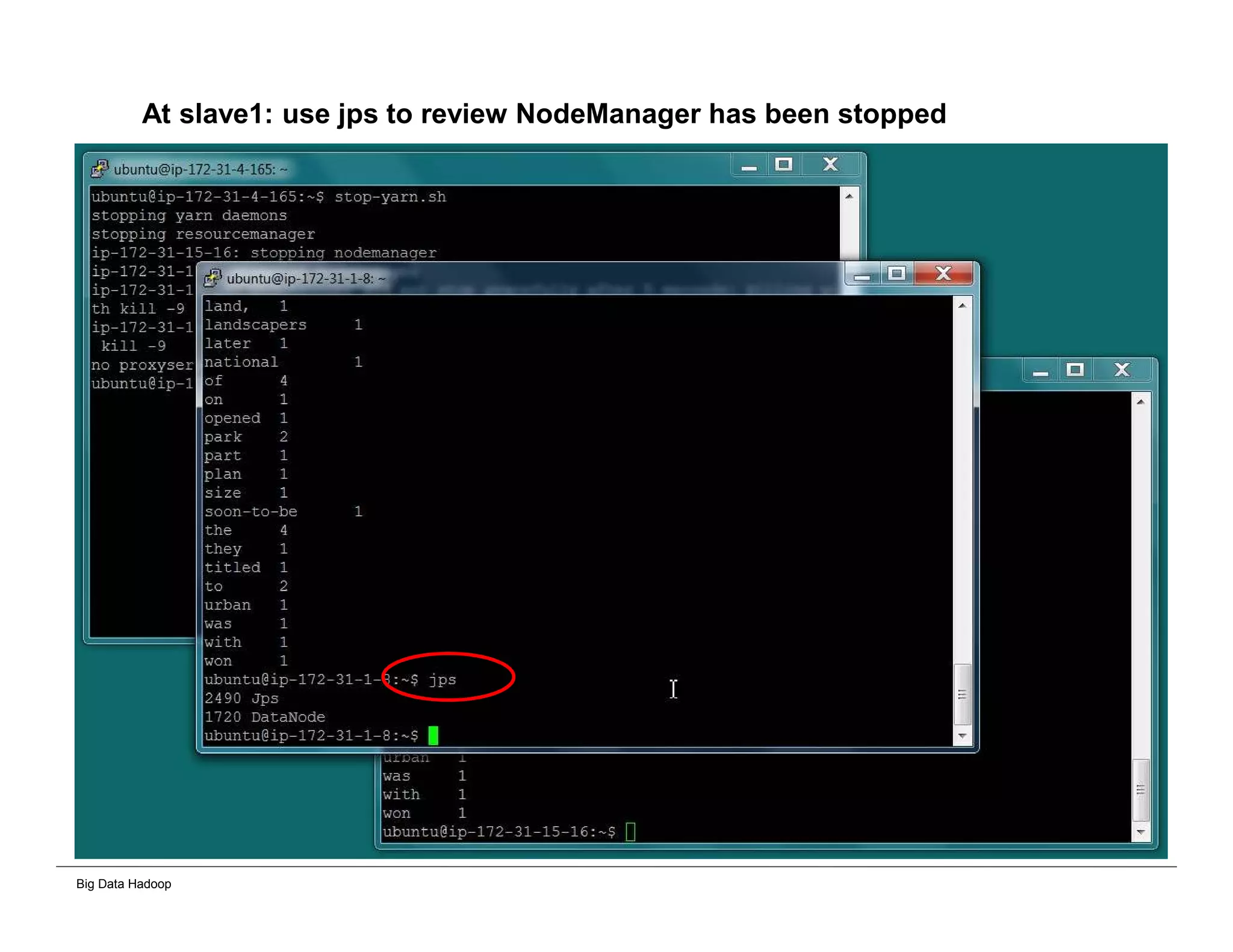 Big Data Hadoop
At slave1: use jps to review NodeManager has been stopped
 