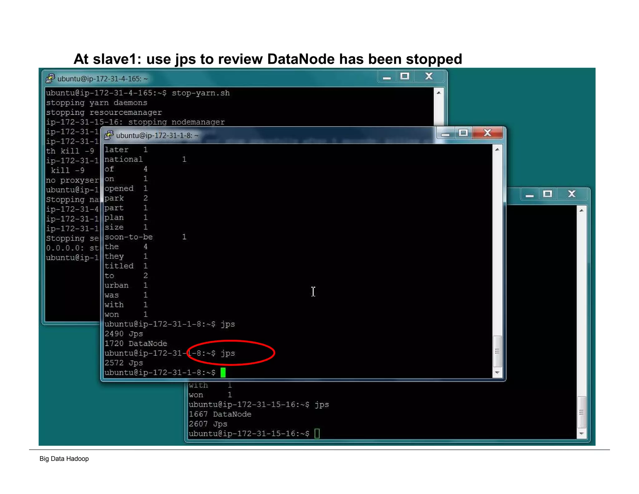 Big Data Hadoop
At slave1: use jps to review DataNode has been stopped
 