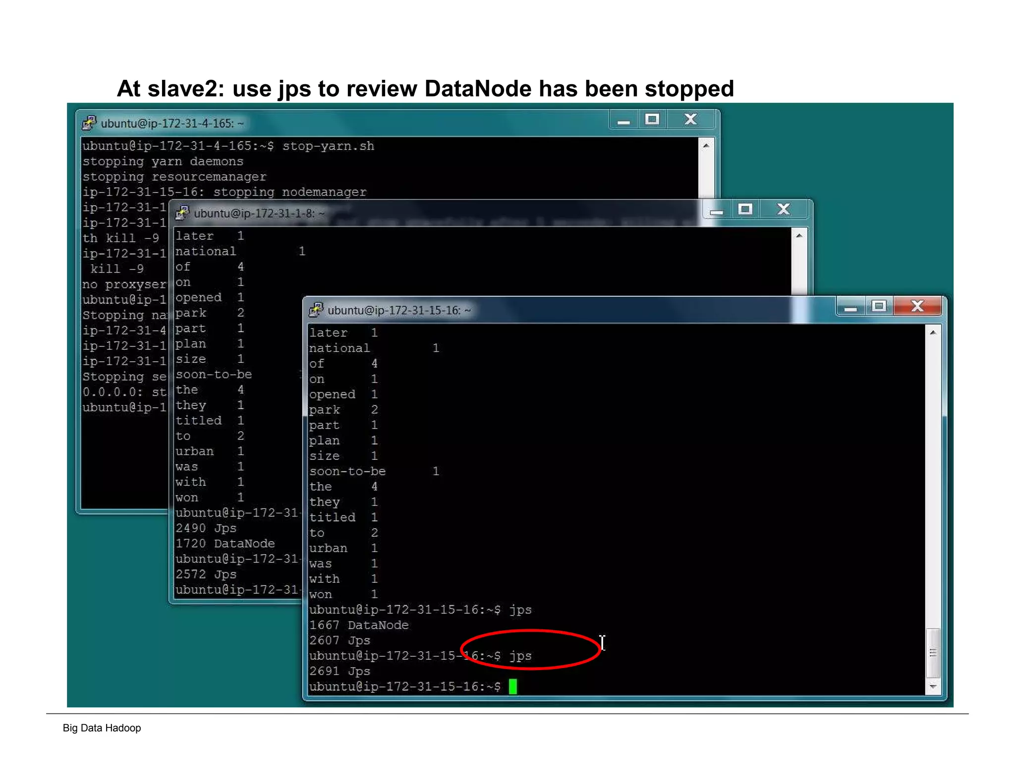 Big Data Hadoop
At slave2: use jps to review DataNode has been stopped
 