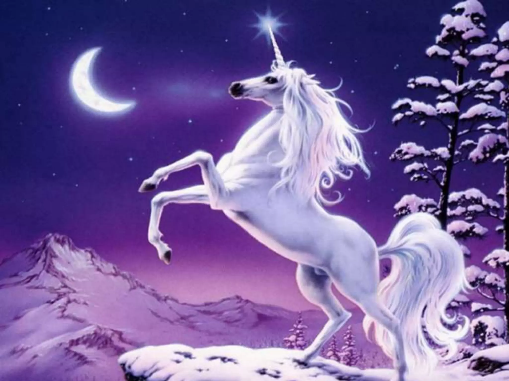 ..................................................................................................................................................................................................
 