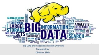 Big Data and Hadoop Ecosystem Overview
Presented by
Obinna C Ekeh
 