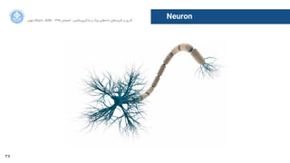 27
‫ﺍاﻥن‬‫ﺮ‬‫ﺗﻬ‬ ‫ﺩدﺍاﻧﺸﮕﺎﻩه‬ ACM - ۱۳۹۵ ‫ﺗﺎﺑﺴﺘﺎﻥن‬ - ‫‌ﻣﺎﺷﯿﻦ‬‫ﯼی‬‫ﯾﺎﺩدﮔﯿﺮ‬ ‫ﻭو‬ ‫ﺑﺰﺭرﮒگ‬ ‫‌ﻫﺎﯼی‬‫ﻩه‬‫ﺩدﺍاﺩد‬ ‫‌ﻫﺎﯼی‬‫ﺩد‬‫ﮐﺎﺭرﺑﺮ‬ ‫ﺑﺮ‬ ‫ﮔﺬﺭرﯼی‬
Neuron
 