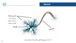 32
‫ﺍاﻥن‬‫ﺮ‬‫ﺗﻬ‬ ‫ﺩدﺍاﻧﺸﮕﺎﻩه‬ ACM - ۱۳۹۵ ‫ﺗﺎﺑﺴﺘﺎﻥن‬ - ‫‌ﻣﺎﺷﯿﻦ‬‫ﯼی‬‫ﯾﺎﺩدﮔﯿﺮ‬ ‫ﻭو‬ ‫ﺑﺰﺭرﮒگ‬ ‫‌ﻫﺎﯼی‬‫ﻩه‬‫ﺩدﺍاﺩد‬ ‫‌ﻫﺎﯼی‬‫ﺩد‬‫ﮐﺎﺭرﺑﺮ‬ ‫ﺑﺮ‬ ‫ﮔﺬﺭرﯼی‬
Neuron
‫ﻫﺴﺘﻪ‬
‫‌ﻫﺎ‬‫ﺖ‬‫ﺩدﻧﺪﺭرﯾ‬
‫ﺁآﮐﺴﻮﻥن‬
‫ﺭرﺍا‬ ‫ﺩدﺍاﺩدﻩه‬ ‫ﺟﺮﯾﺎﻥن‬
‫ﻫﺴﺘﻪ‬ ‫ﺳﻤﺖ‬ ‫ﺑﻪ‬
‫ﻣﯿﮑﻨﻨﺪ‬ ‫ﻫﺪﺍاﯾﺖ‬
‫ﺩدﺍاﺭرﻧﺪ‬ ‫ﻣﯿﻠﯿﻤﺘﺮ‬ ‫ﯾﮏ‬ ‫ﻣﻌﺎﺩدﻝل‬ ‫ﻃﻮﻟﯽ‬ ‫‌ﻫﺎ‬‫ﻥن‬‫ﻧﻮﺭرﻭو‬ ‫ﺍاﺯز‬ ‫ﻋﺪﺩد‬ ۱۰۰
 