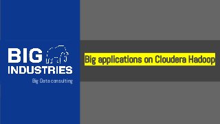 Big Data consulting 
Big applications on Cloudera Hadoop 
 