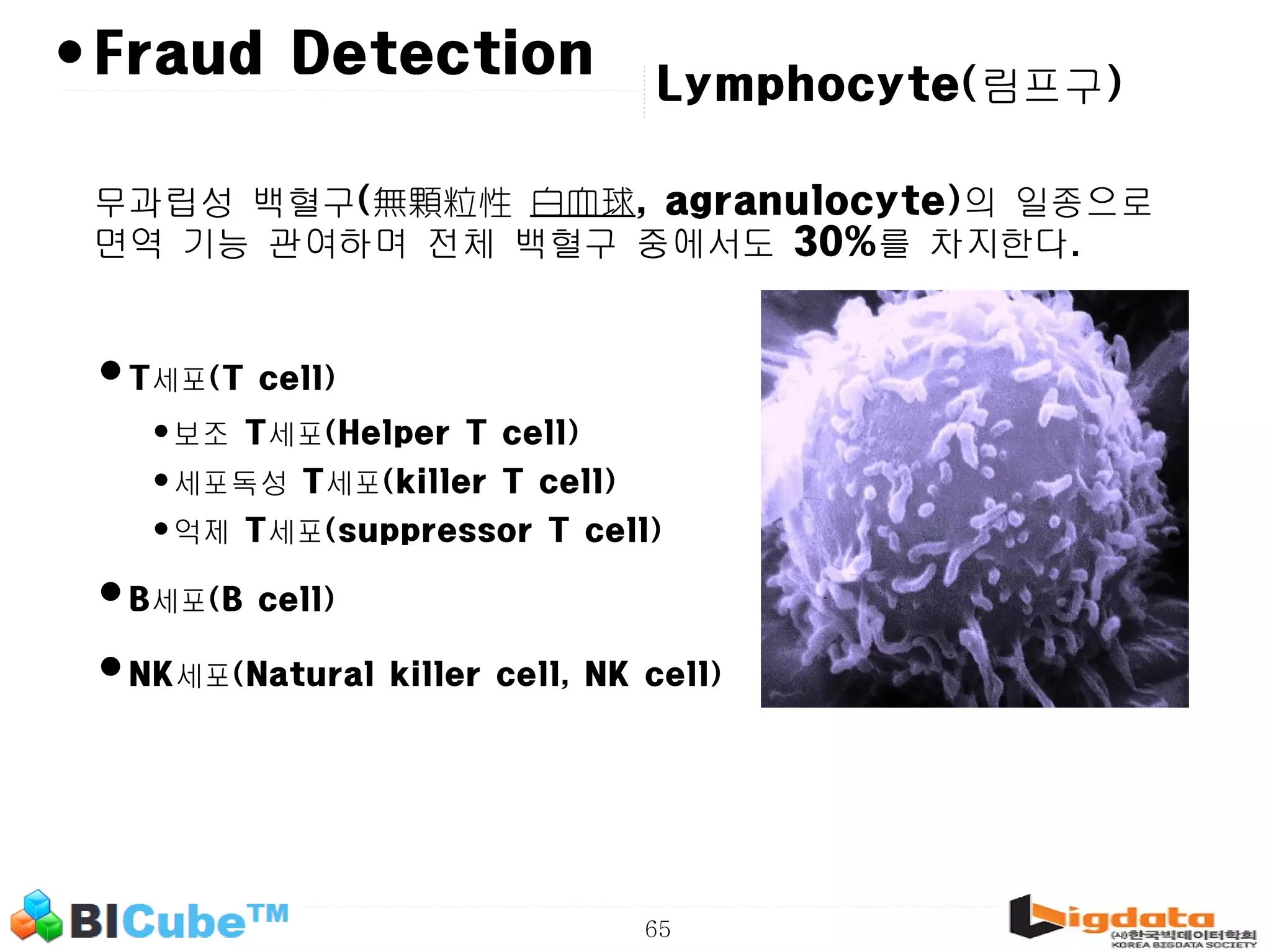 65 •Fraud Detection 무과립성 백혈구(無顆粒性 白血球, agranulocyte)의 일종으로 면역 기능 관여하며 전체 백혈구 중에서도 30%를 차지한다. •T세포(T cell) •보조 T세포(Helper T cell) •세포독성 T세포(killer T cell) •억제 T세포(suppressor T cell) •B세포(B cell) •NK세포(Natural killer cell, NK cell) Lymphocyte(림프구) 