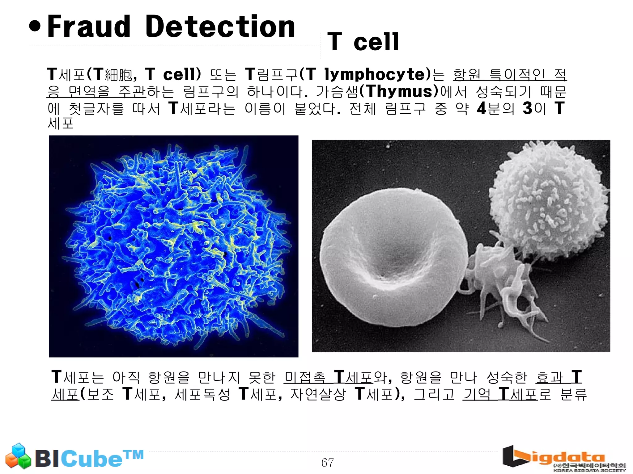 67 •Fraud Detection T세포(T細胞, T cell) 또는 T림프구(T lymphocyte)는 항원 특이적인 적 응 면역을 주관하는 림프구의 하나이다. 가슴샘(Thymus)에서 성숙되기 때문 에 첫글자를 따서 T세포라는 이름이 붙었다. 전체 림프구 중 약 4분의 3이 T 세포 T세포는 아직 항원을 만나지 못한 미접촉 T세포와, 항원을 만나 성숙한 효과 T 세포(보조 T세포, 세포독성 T세포, 자연살상 T세포), 그리고 기억 T세포로 분류 T cell 