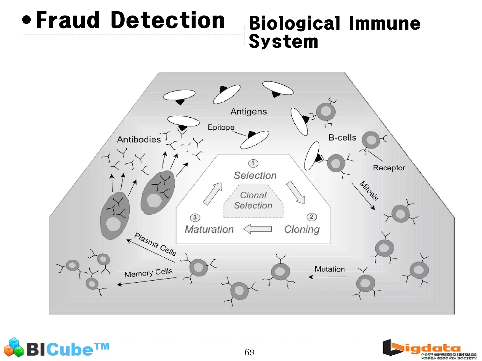 69 •Fraud Detection Biological Immune System 