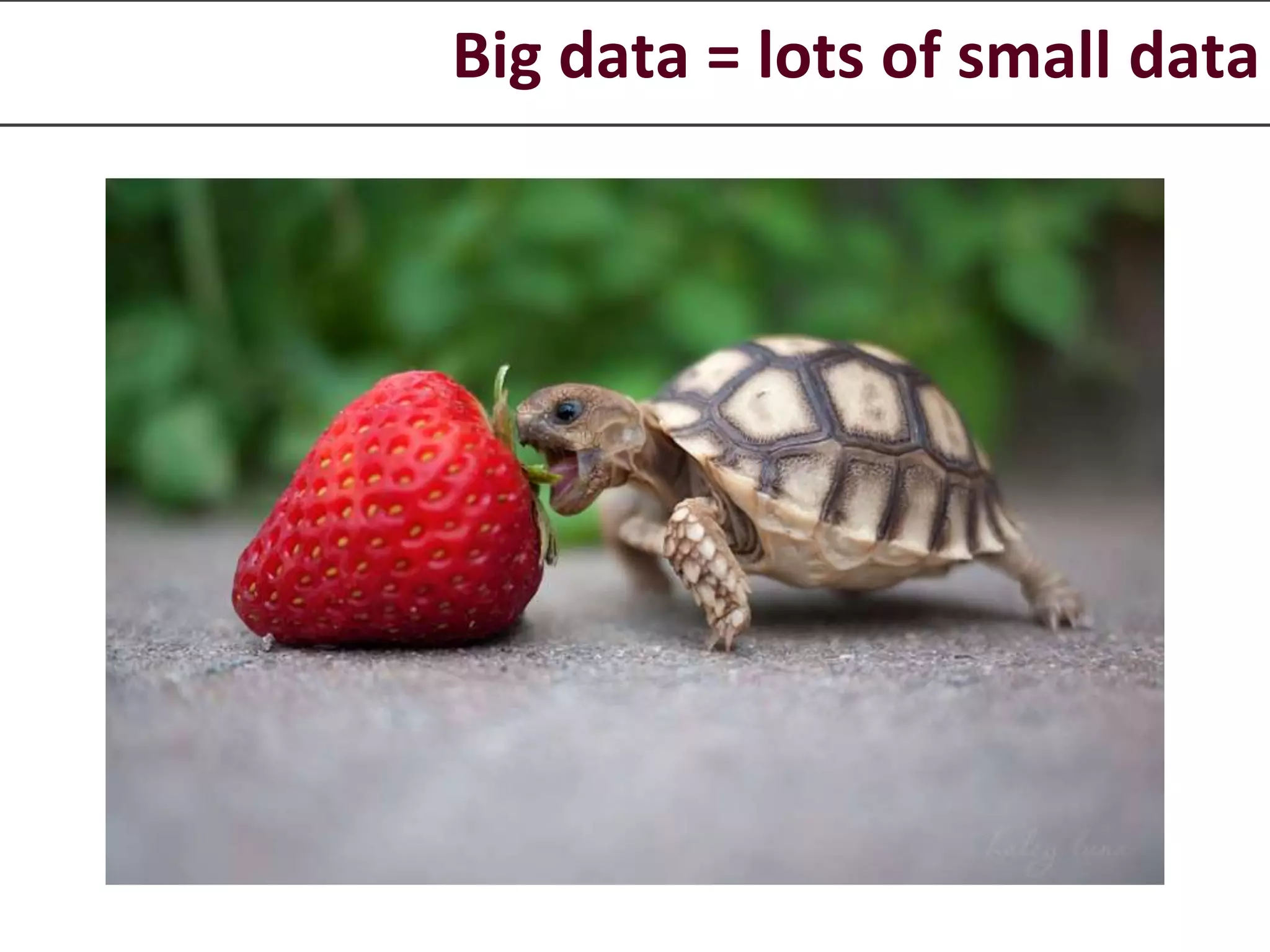 Big data = lots of small data 
 