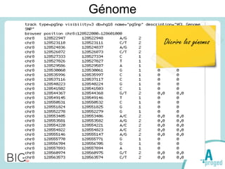 Génome
Décrire les génomes
 