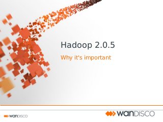 Hadoop 2.0.5
Why it's important
 