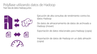 PolyBase utilizando datos de Hadoop
Traer islas de datos Hadoop juntos
Ejecución de alta consultas de rendimiento contra los
datos Hadoop
De datos de almacenamiento de datos de archivado a
Hadoop (mover)
Exportación de datos relacionales para Hadoop (copia)
Importación de datos de Hadoop en un dato almacén
(copia)
 