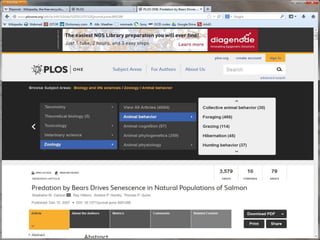 AccessInnovations,Inc..12/11/2013
 