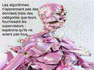 Les algorithmes
n'apprennent pas des
données mais des
catégories que leurs
fournissent les
superviseurs :
espérons qu'ils ne
soient pas fous
 