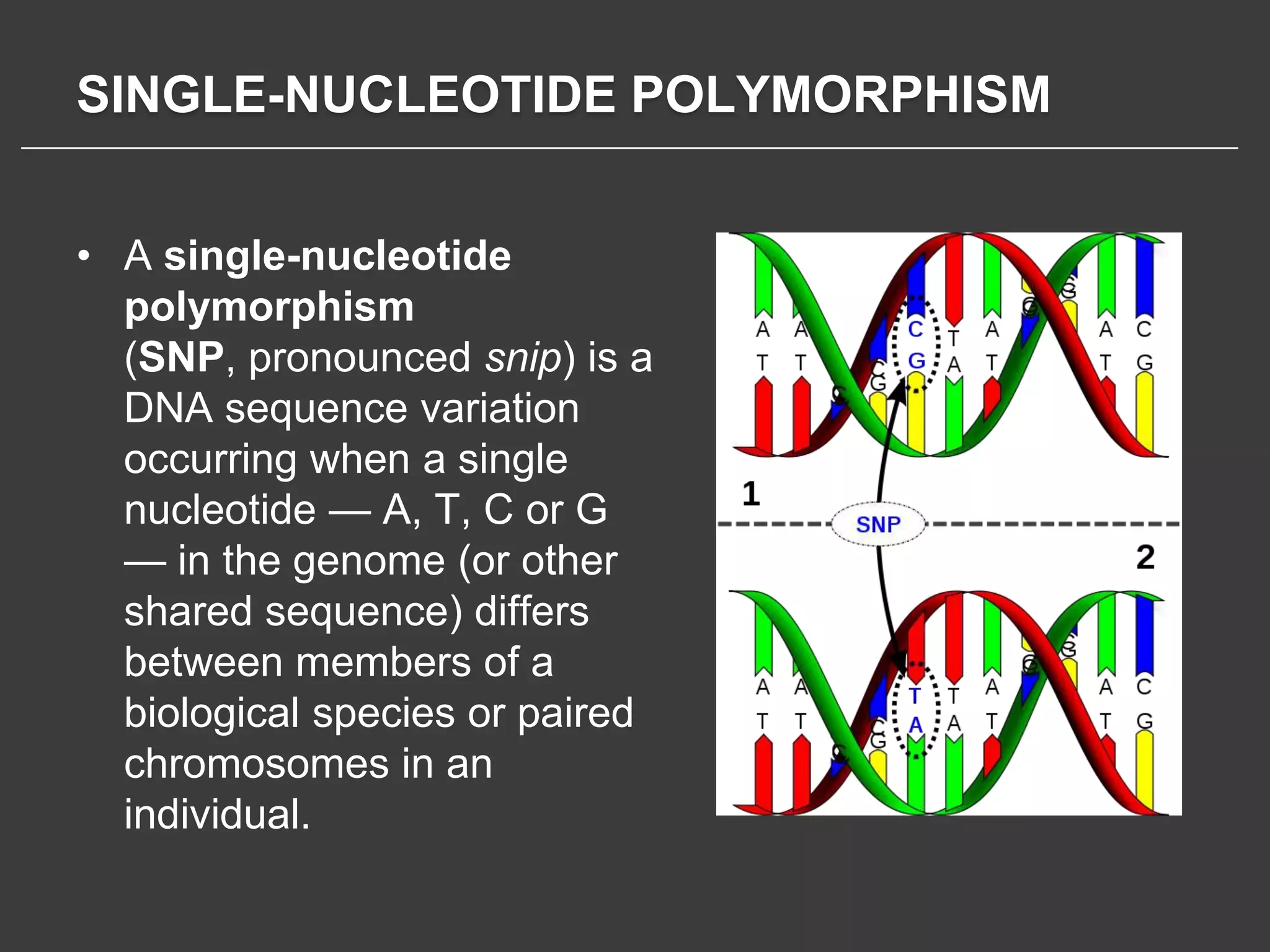 SINGLE-NUCLEOTIDE POLYMORPHISM


• A single-nucleotide
  polymorphism
  (SNP, pronounced snip) is a
  DNA sequence variation
  occurring when a single
  nucleotide — A, T, C or G
  — in the genome (or other
  shared sequence) differs
  between members of a
  biological species or paired
  chromosomes in an
  individual.
 