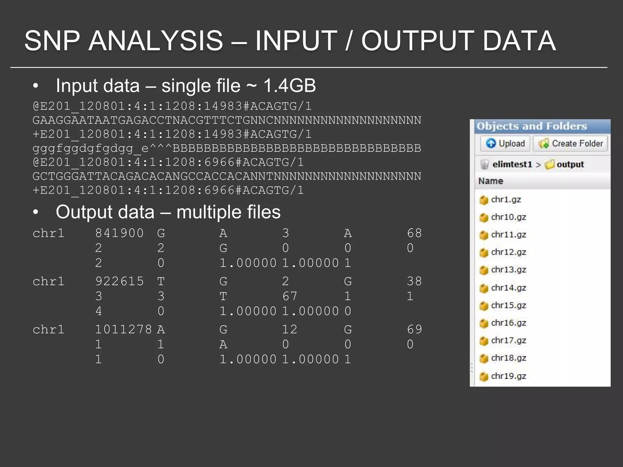 SNP ANALYSIS – INPUT / OUTPUT DATA
• Input data – single file ~ 1.4GB
@E201_120801:4:1:1208:14983#ACAGTG/1
GAAGGAATAATGAGACCTNACGTTTCTGNNCNNNNNNNNNNNNNNNNNNN
+E201_120801:4:1:1208:14983#ACAGTG/1
gggfggdgfgdgg_e^^^BBBBBBBBBBBBBBBBBBBBBBBBBBBBBBBB
@E201_120801:4:1:1208:6966#ACAGTG/1
GCTGGGATTACAGACACANGCCACCACANNTNNNNNNNNNNNNNNNNNNN
+E201_120801:4:1:1208:6966#ACAGTG/1
• Output data – multiple files
chr1    841900    G     A         3         A   68
        2         2     G         0         0   0
        2         0     1.00000   1.00000   1
chr1    922615    T     G         2         G   38
        3         3     T         67        1   1
        4         0     1.00000   1.00000   0
chr1    1011278   A     G         12        G   69
        1         1     A         0         0   0
        1         0     1.00000   1.00000   1
 