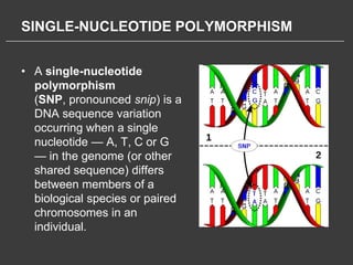 SINGLE-NUCLEOTIDE POLYMORPHISM


• A single-nucleotide
  polymorphism
  (SNP, pronounced snip) is a
  DNA sequence variation
  occurring when a single
  nucleotide — A, T, C or G
  — in the genome (or other
  shared sequence) differs
  between members of a
  biological species or paired
  chromosomes in an
  individual.
 