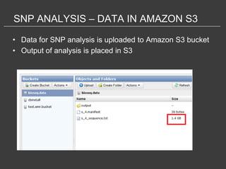 SNP ANALYSIS – DATA IN AMAZON S3

• Data for SNP analysis is uploaded to Amazon S3 bucket
• Output of analysis is placed in S3
 