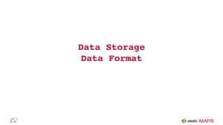 Data Storage
Data Format
 
