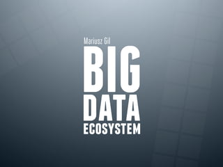 Mariusz Gil

BIG
data
ecosystem

 