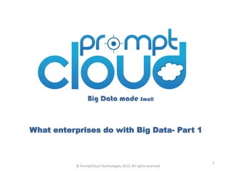 Big Data made Small



What enterprises do with Big Data- Part 1



                                                                  1
           © PromptCloud Technologies 2013, All rights reserved
 