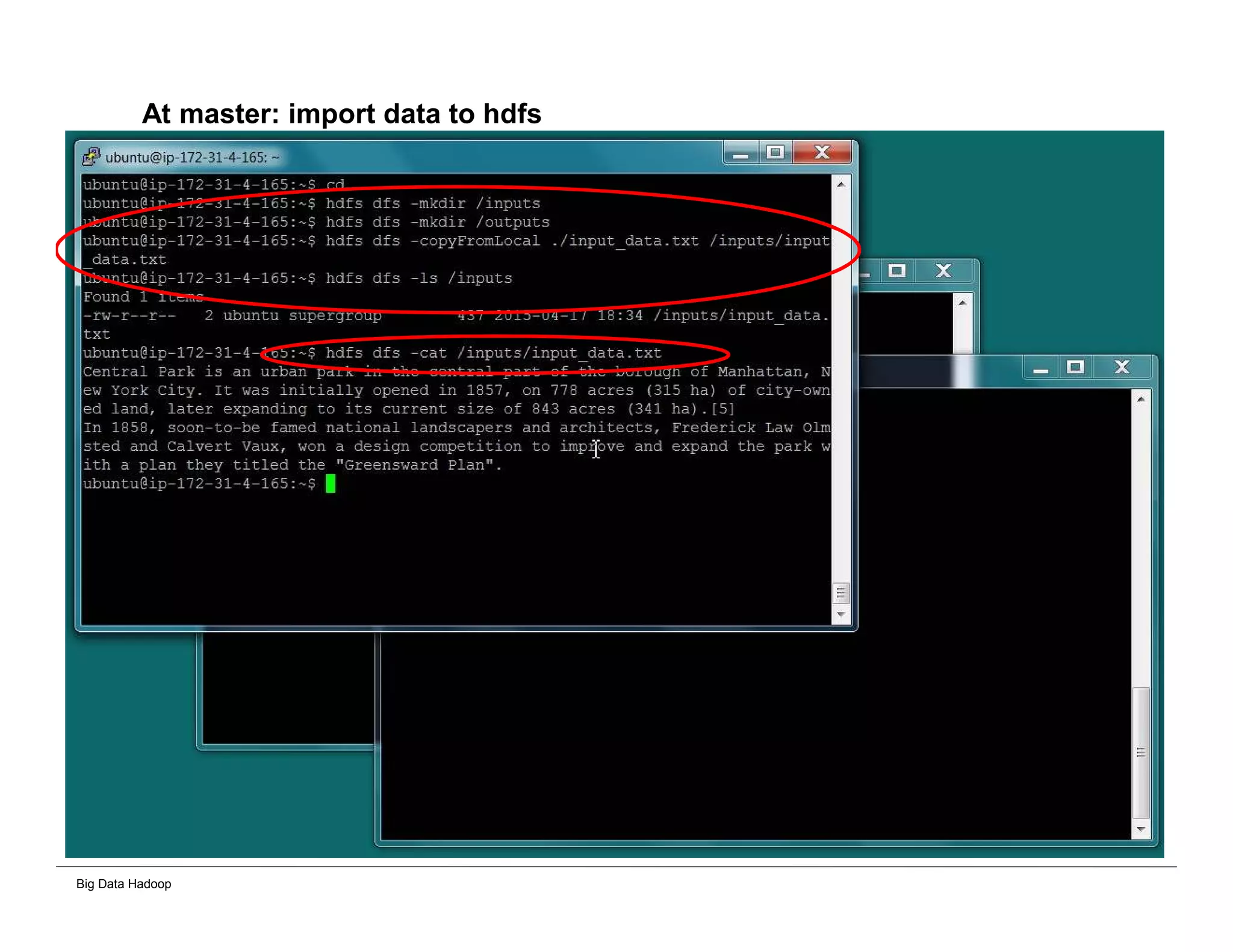 Big Data Hadoop
At master: import data to hdfs
 