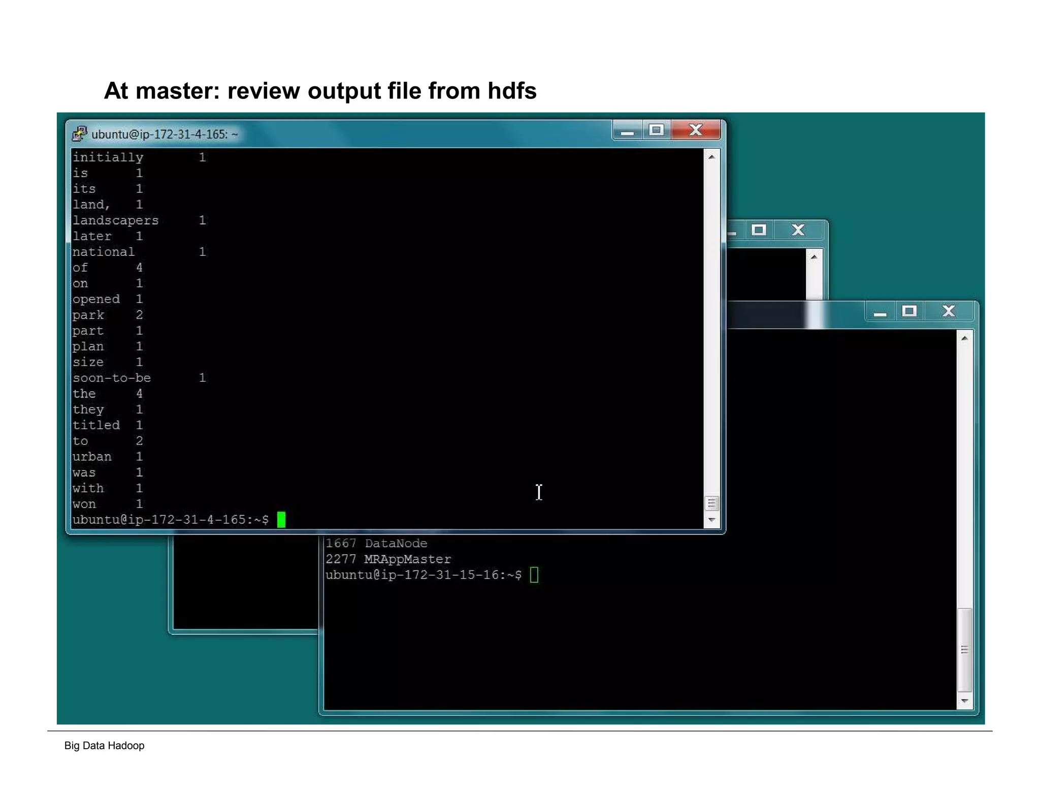 Big Data Hadoop
At master: review output file from hdfs
 
