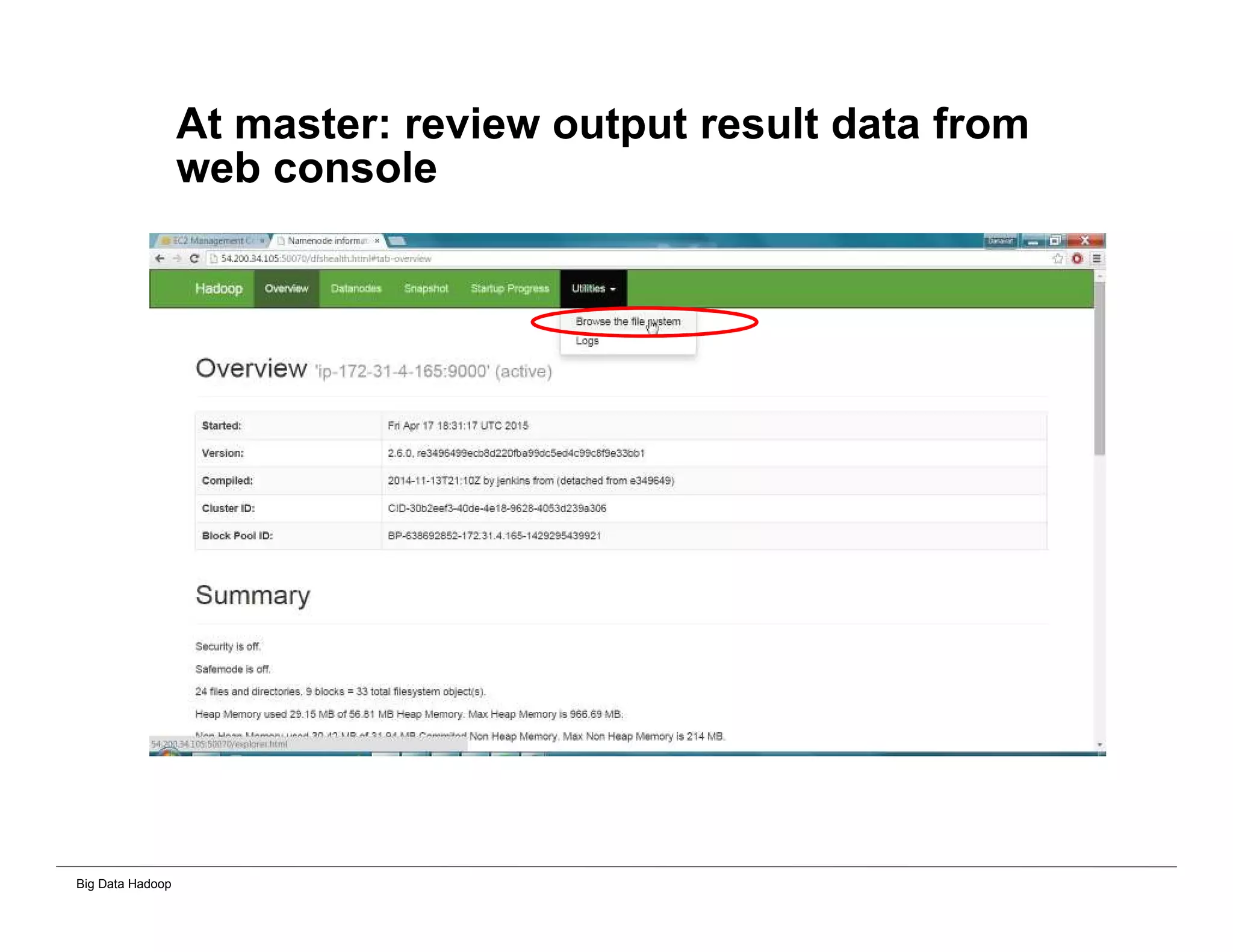Big Data Hadoop
At master: review output result data from
web console
 