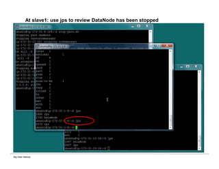 Big Data Hadoop
At slave1: use jps to review DataNode has been stopped
 