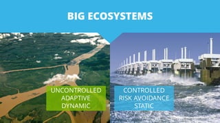 BIG ECOSYSTEMS
UNCONTROLLED
ADAPTIVE
DYNAMIC
CONTROLLED
RISK AVOIDANCE
STATIC
 