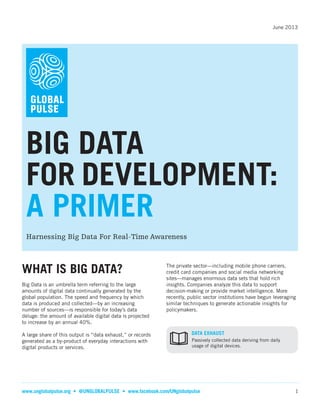 June 2013

BIG DATA
FOR DEVELOPMENT:
A PRIMER
Harnessing Big Data For Real-Time Awareness

WHAT IS BIG DATA?
Big Data is an umbrella term referring to the large
amounts of digital data continually generated by the
global population. The speed and frequency by which
data is produced and collected—by an increasing
number of sources­­
—is responsible for today’s data
deluge: the amount of available digital data is projected
to increase by an annual 40%.
A large share of this output is “data exhaust,” or records
generated as a by-product of everyday interactions with
digital products or services.

The private sector—including mobile phone carriers,
credit card companies and social media networking
sites—manages enormous data sets that hold rich
insights. Companies analyze this data to support
decision-making or provide market intelligence. More
recently, public sector institutions have begun leveraging
similar techniques to generate actionable insights for
policymakers.
DATA EXHAUST
Passively collected data deriving from daily
usage of digital devices.

HOW TO CITE THIS DOCUMENT: United Nations Global Pulse (2013) Big Data for Development: A primer.

www.unglobalpulse.org • @UNGLOBALPULSE • www.facebook.com/UNglobalpulse

1

 
