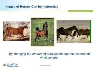 Images of Horses Can be Instructive

By changing the amount of data we change the essence of
what we see.
© 2013 Agile Technologies, LLC

 