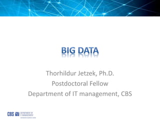 Thorhildur Jetzek, Ph.D.
Postdoctoral Fellow
Department of IT management, CBS
 