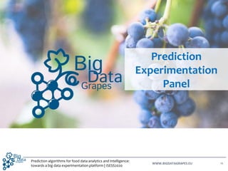 WWW.BIGDATAGRAPES.EU
Prediction
Experimentation
Panel
11
Prediction algorithms for food data analytics and intelligence:
t...