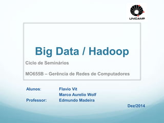 Big Data / Hadoop 
Ciclo de Seminários 
MO655B – Gerência de Redes de Computadores 
Alunos: Flavio Vit 
Marco Aurelio Wolf 
Professor: Edmundo Madeira 
Dez/2014 
 