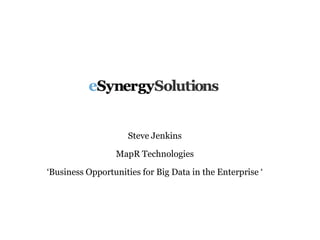 Steve Jenkins
MapR Technologies
‘Business Opportunities for Big Data in the Enterprise ‘
 
