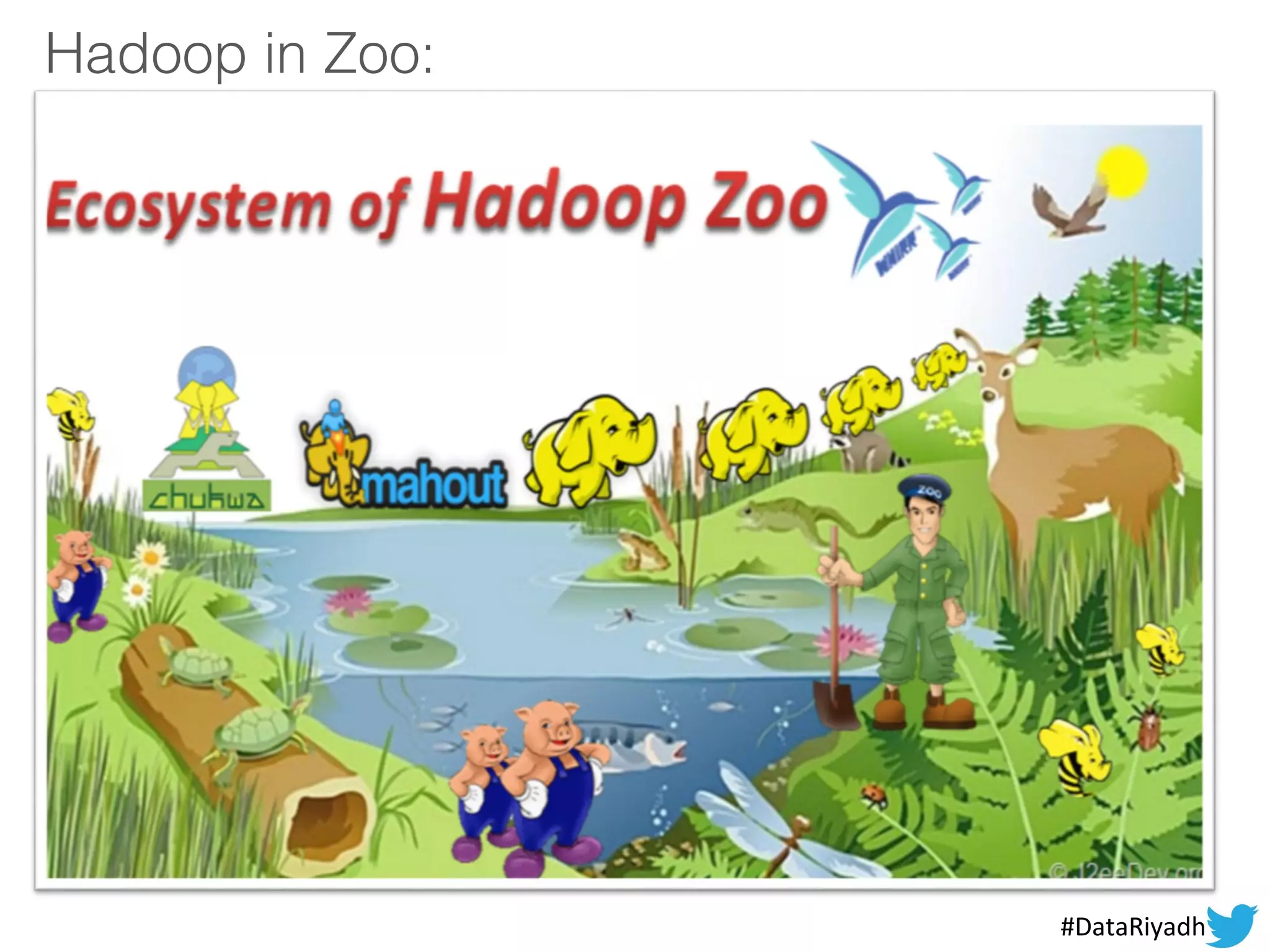 Hadoop in Zoo:
#DataRiyadh
 