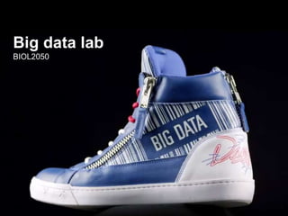 Big data lab
BIOL2050
 